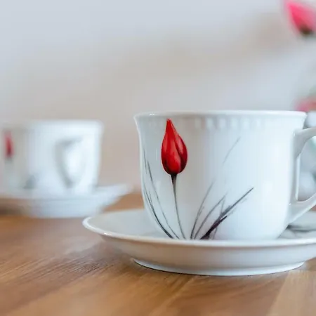 Tulip-apartments - Jagiellonska 24 Poddasze Bez Windy Apartman